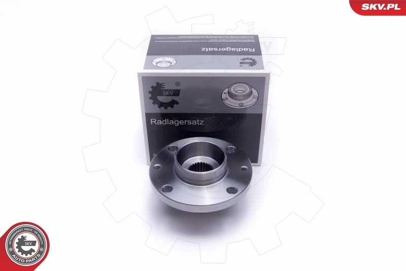 Wheel Bearing Kit